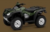 2010 Honda FourTrax Rincon photo